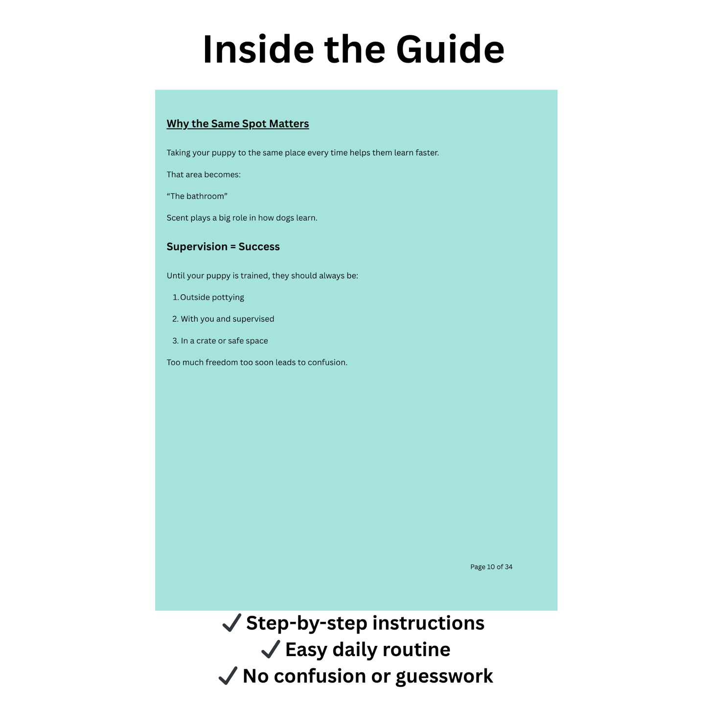 Puppy Potty Training Guide – Easy Reward-Based Training for New Puppy Owners