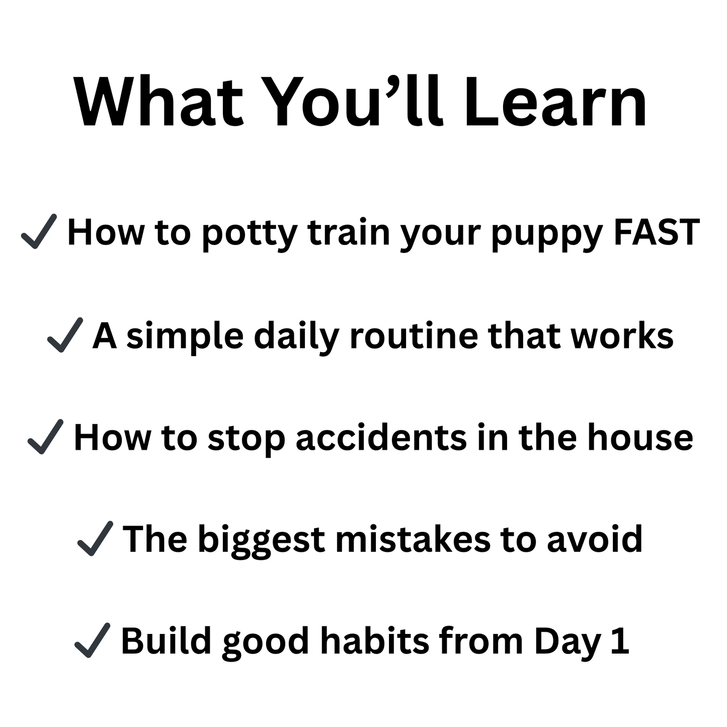 Puppy Potty Training Guide – Easy Reward-Based Training for New Puppy Owners