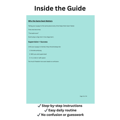 Puppy Potty Training Guide – Easy Reward-Based Training for New Puppy Owners